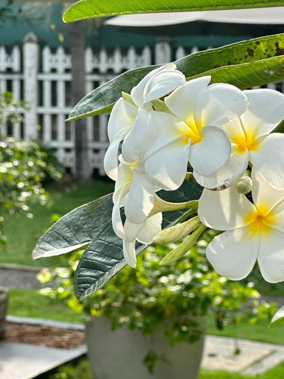Villa Sunny Days Hikkaduwa Exterior foto